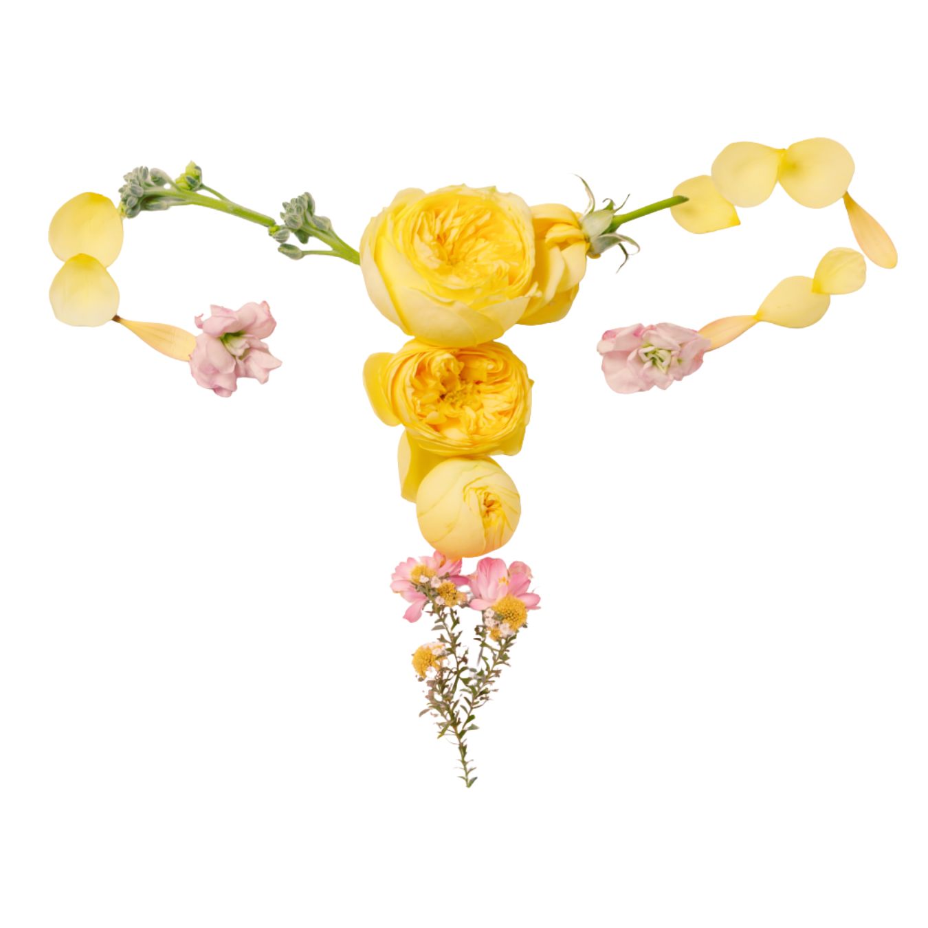 Centrul de Menopauză